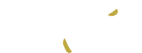 Logo mes delires toques